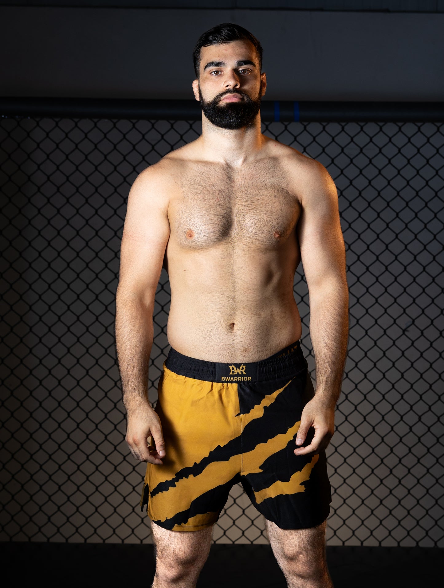 Golden Scratch BWR Shorts