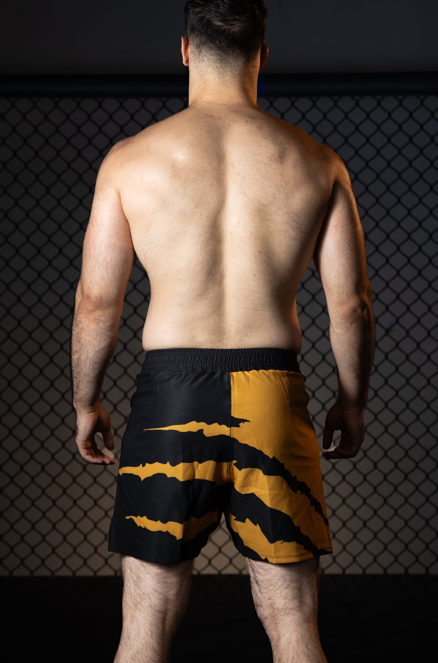 Golden Scratch BWR Shorts